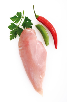 chicken